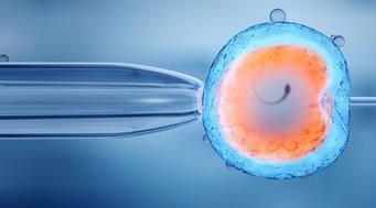 天津2026试管助孕医院名录更新，什么因素影响卵巢早衰试管成功率