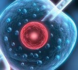 三代试管卵子冻胚4AB和4BB的区别，附全程费用结构