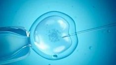 潍坊陆军80医院用做试管总共需要多少钱？