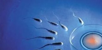 开封助孕强机构大盘点：揭秘5大优质选择，助力你轻松好孕！