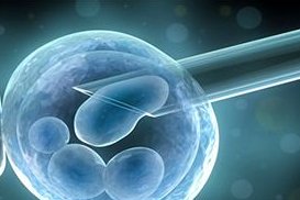 泰国三代试管婴儿费用详解，全面了解治疗与生活成本